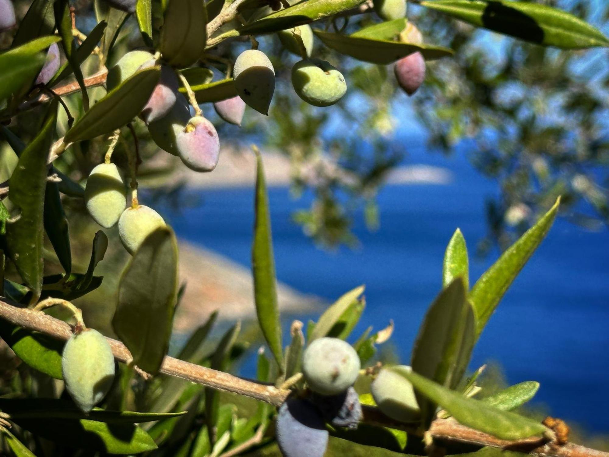 Maison Meltem Agia Pelagia  Luaran gambar